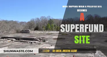 The Superfund Site: Pollution's Last Stand