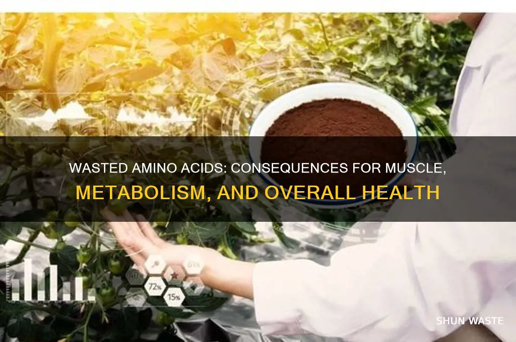 what happens when amino acids are wasted