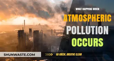 Air Pollution's Impact: Understanding the Consequences