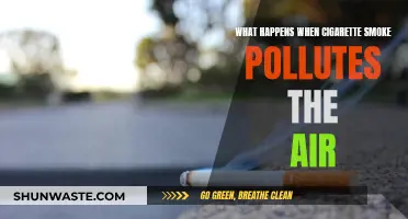 Cigarette Smoke: Poisoning Our Air and Health