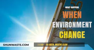 Adapting to Change: How Shifting Environments Impact Life and Ecosystems