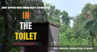 Human Waste Buildup: Consequences of Toilet Accumulation Explained