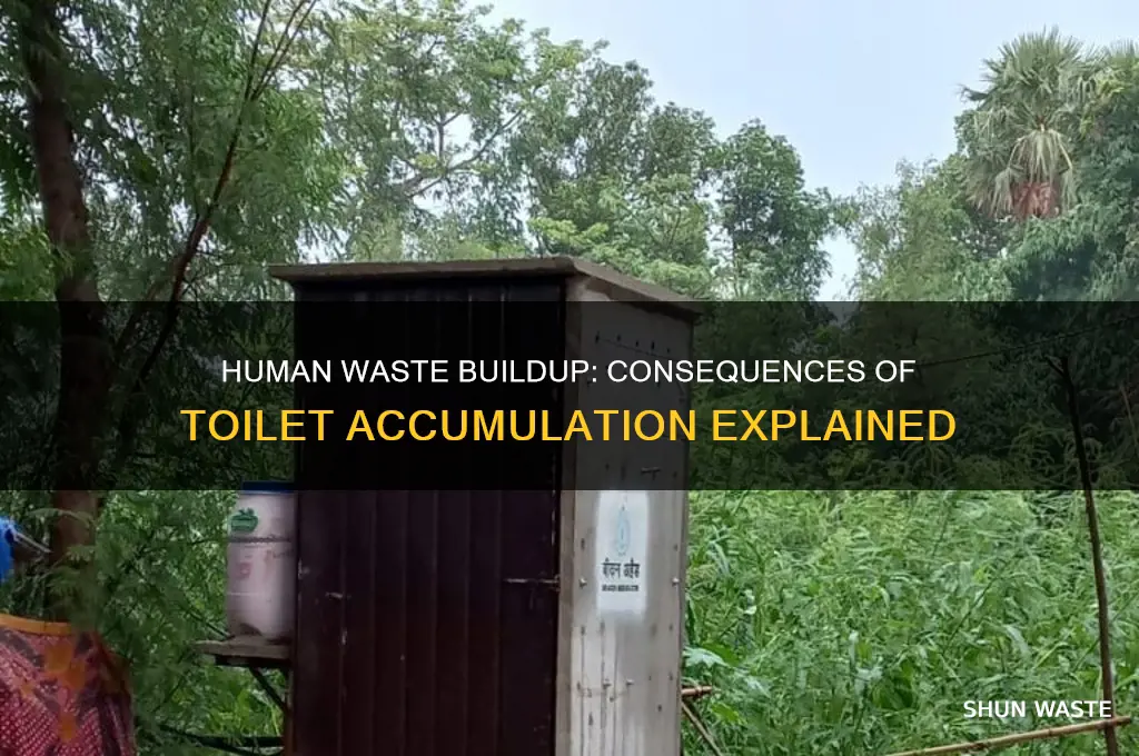 what happens when human waste accumulates in the toilet