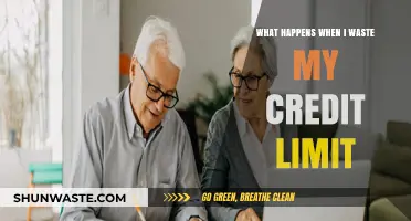 Wasting Your Credit Limit: Consequences and How to Avoid Financial Pitfalls