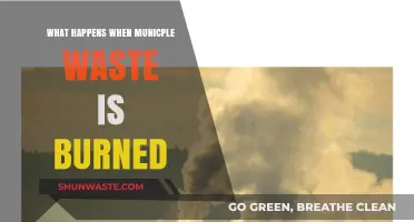 Burning Municipal Waste: Environmental Impacts and Health Concerns Explained