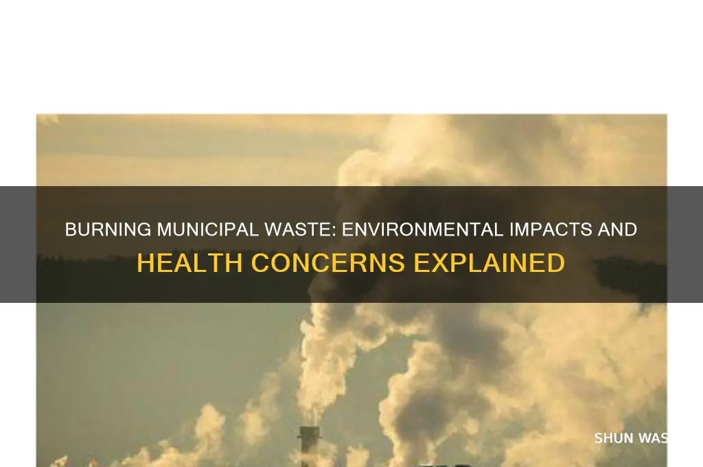 what happens when municple waste is burned