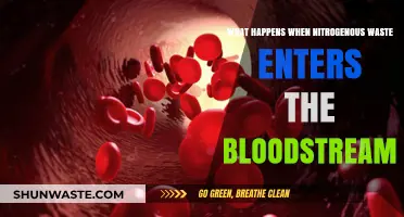 Nitrogenous Waste in Bloodstream: Causes, Effects, and Health Risks Explained