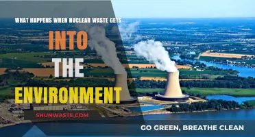 Nuclear Waste in Nature: Environmental Impacts and Long-Term Consequences