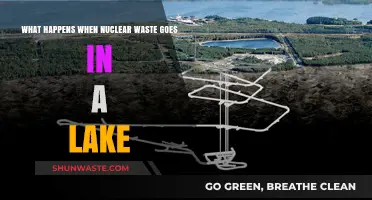 Nuclear Waste in Lakes: Environmental Impacts and Long-Term Consequences