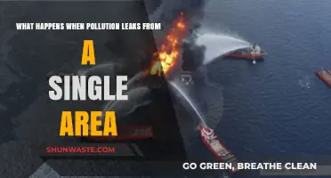 Pollution Leak: Devastating Impact Beyond Borders