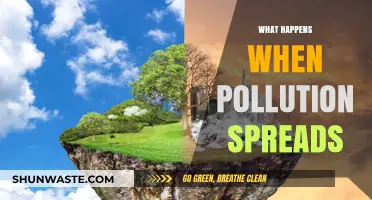 Pollution's Devastating Impact on Our World
