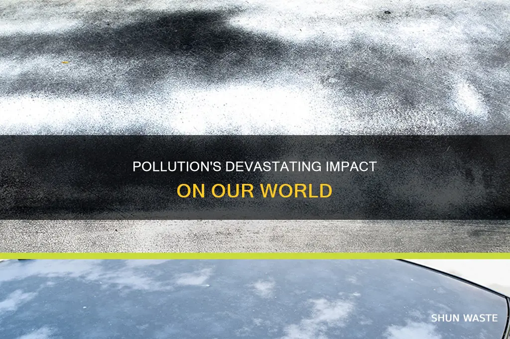 what happens when pollution spreads
