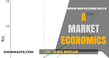 Market Economics: Pollution's Impact and Solutions