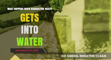 Radioactive Waste in Water: Contamination, Risks, and Environmental Impact