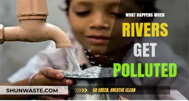 River Pollution: Understanding the Devastating Impact on Nature