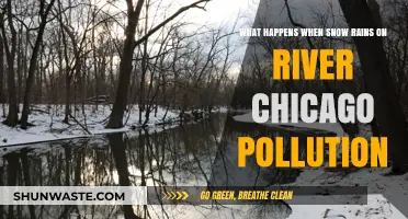 Chicago River Pollution: Snow and Rain Impact