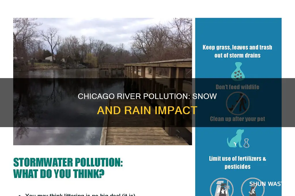 what happens when snow rains on river chicago pollution