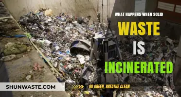 Incinerating Solid Waste: Environmental Impacts and Sustainable Alternatives Explored