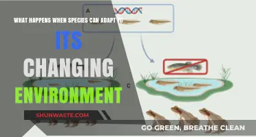 Adapting to Survive: How Species Thrive in Changing Environments