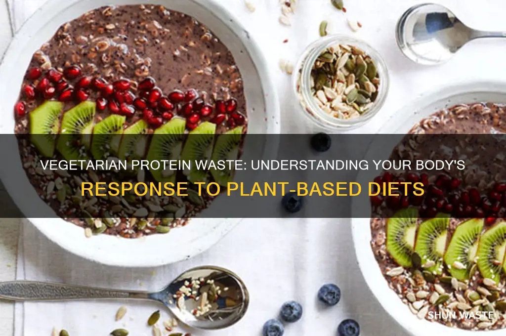 what happens when the body waste protein as a vegetarian
