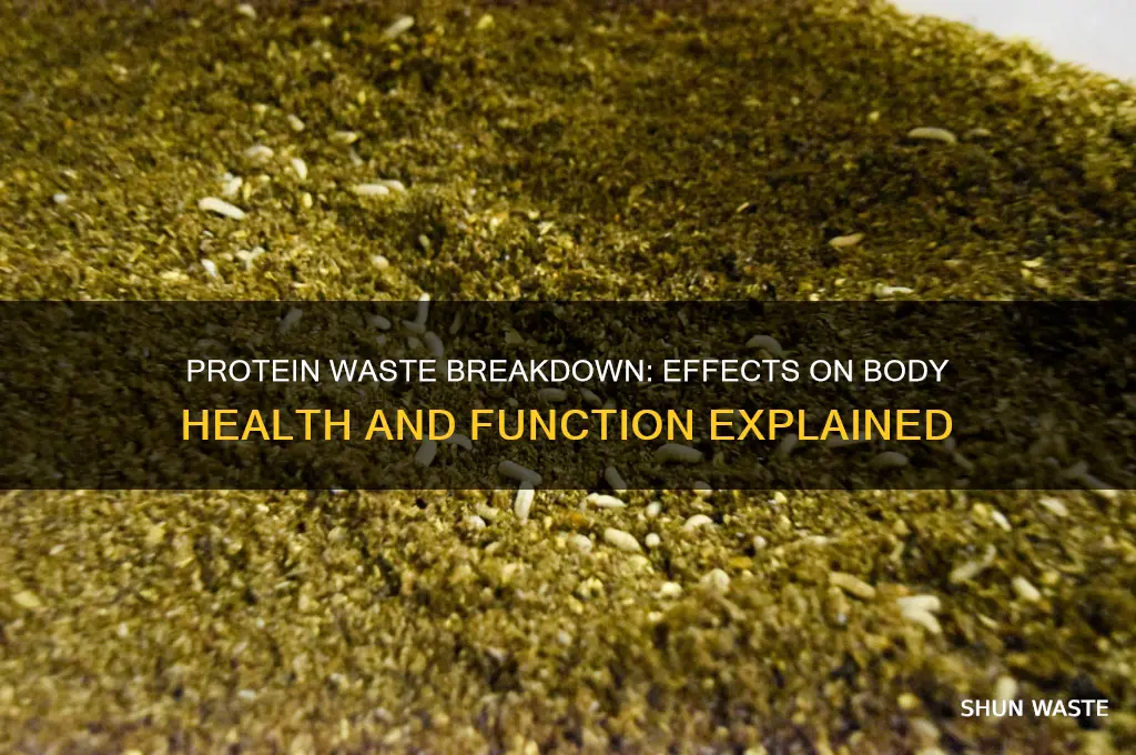 what happens when the body waste protein
