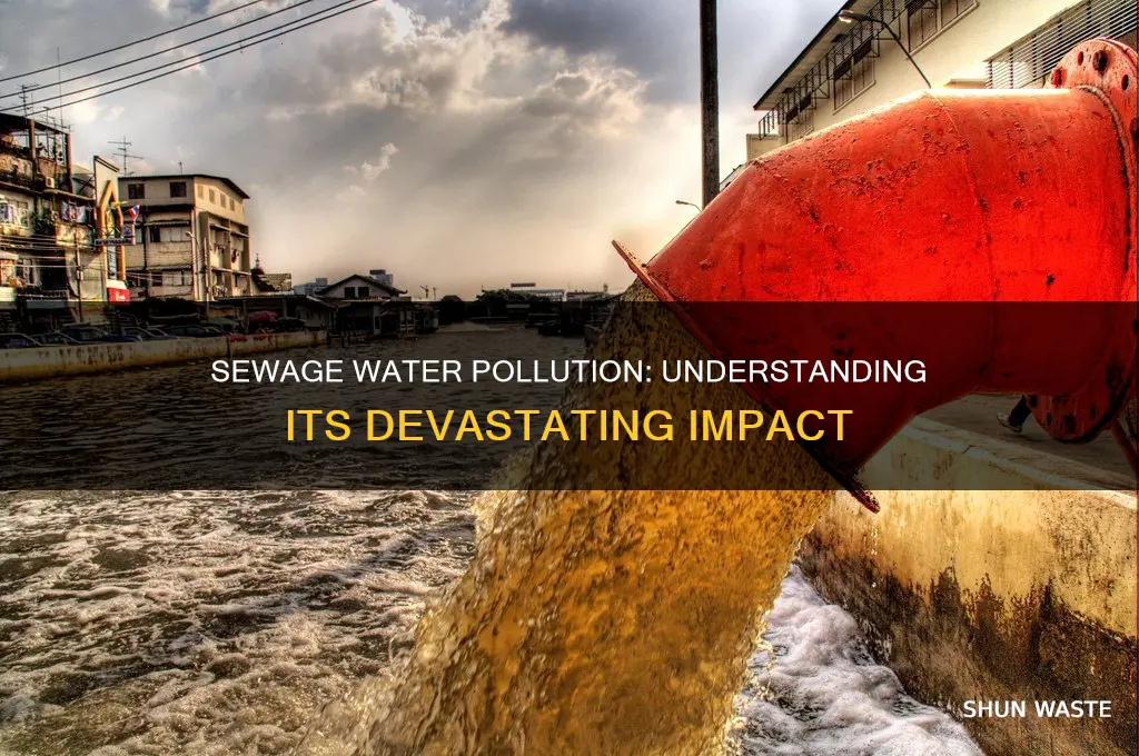 what happens when the domestic sewage effects water pollution
