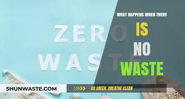 A World Without Waste: Sustainable Living and Its Impact