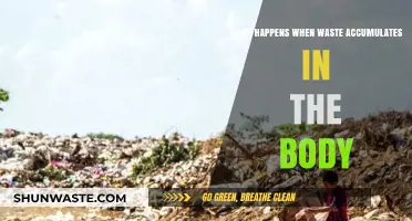 Toxic Buildup: Understanding the Impact of Waste Accumulation in the Body