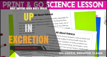 The Dangers of Waste Buildup in Excretion: Causes and Consequences