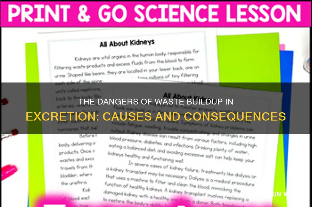 what happens when waste builds up in excretion