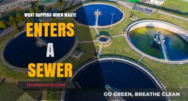 Waste in Sewers: Journey, Impact, and Treatment Processes Explained