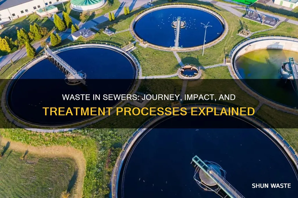 what happens when waste enters a sewer