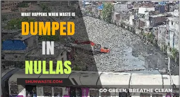 Dumping Waste in Nullahs: Environmental Consequences and Community Impact