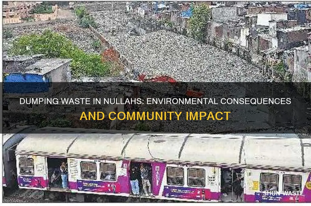 what happens when waste is dumped in nullas