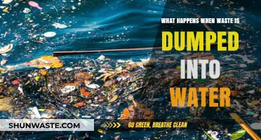Water Pollution Crisis: The Devastating Impact of Waste Dumping