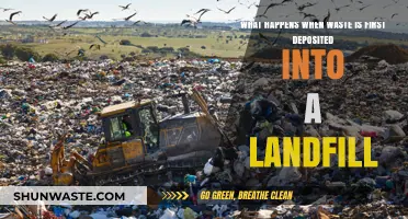 Landfill Journey: Initial Waste Deposition and Its Immediate Environmental Impact