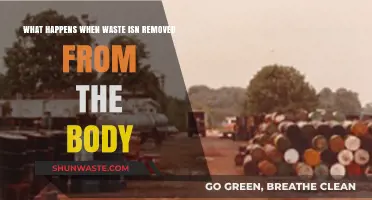 Toxic Buildup: The Consequences of Unremoved Waste in the Body