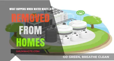 Efficient Wastewater Removal: Transforming Homes and Protecting the Environment