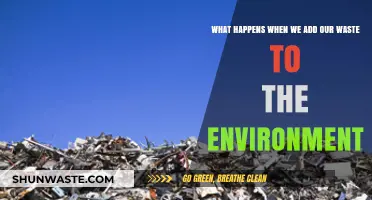 Environmental Impact: How Our Waste Disposal Harms Ecosystems and Health