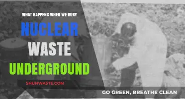 Burying Nuclear Waste: Underground Storage Risks and Long-Term Consequences