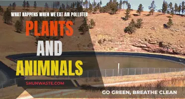 Breathing Toxic: Eating Polluted Animals and Plants