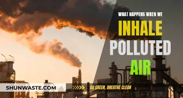 Breathing Polluted Air: Understanding the Health Impact