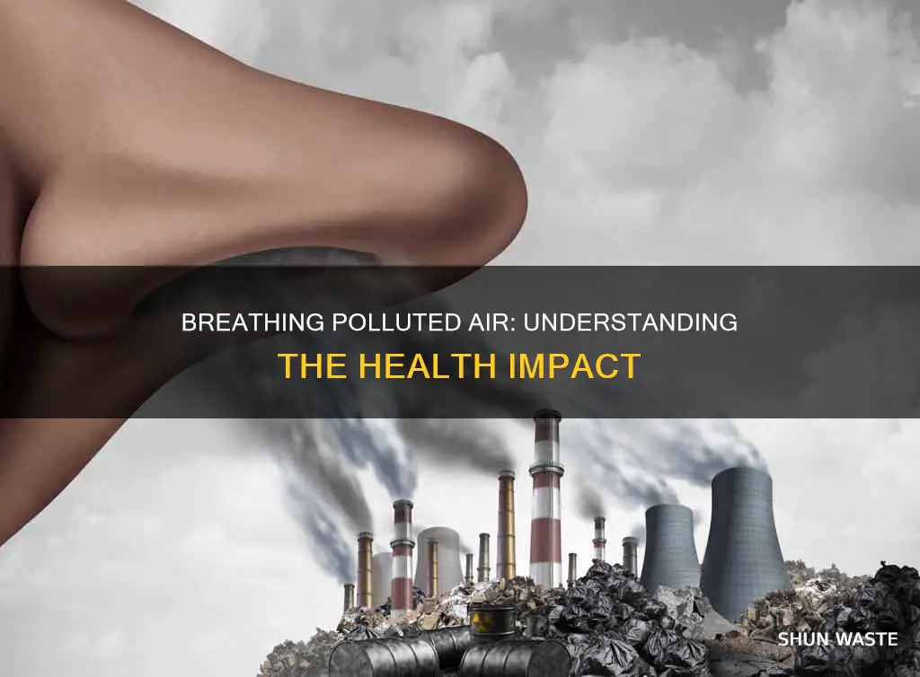 what happens when we inhale polluted air