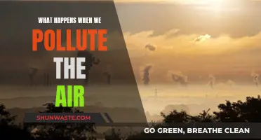 Air Pollution: A Toxic Tale of Human Impact