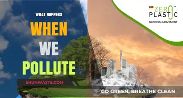 The Dark Side of Pollution: Impacting Our World