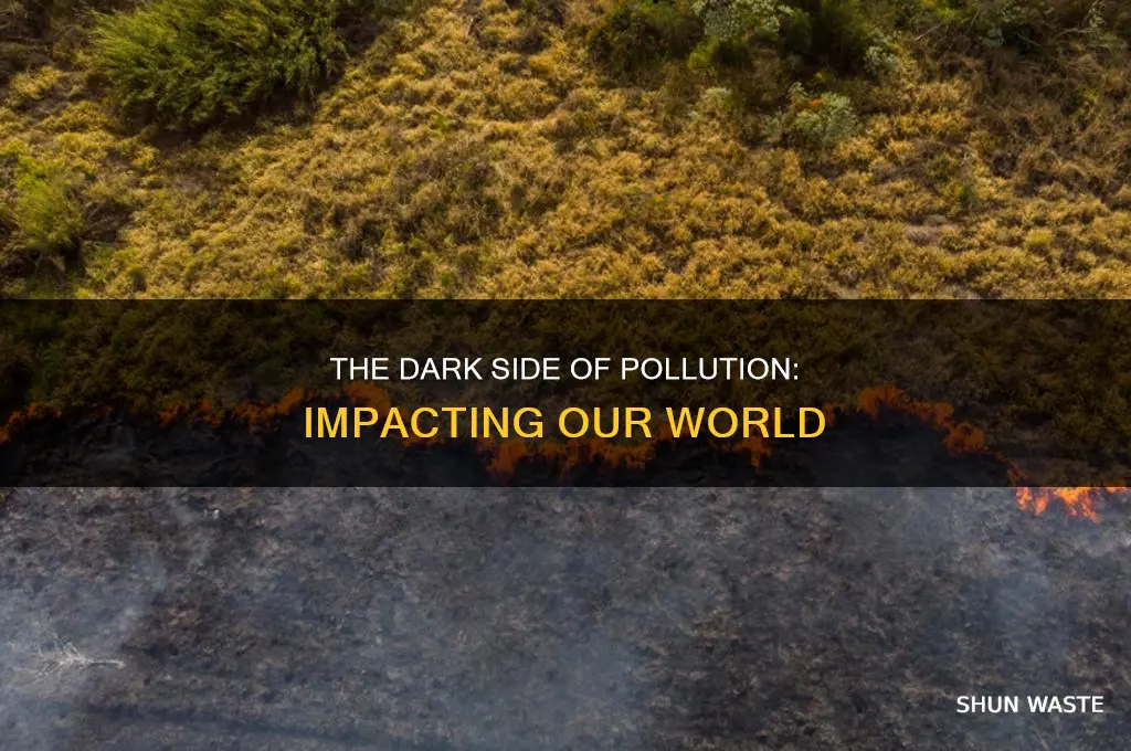 what happens when we pollute