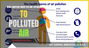 Breathing Polluted Air: The Devastating Health Impact
