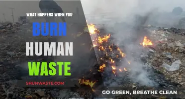 Burning Human Waste: Environmental Impacts, Risks, and Sustainable Alternatives