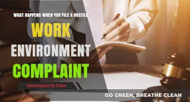 Filing a Hostile Work Environment Complaint: Consequences and Next Steps