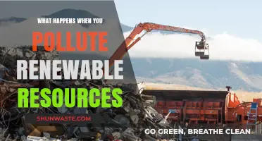 Renewable Resources: Pollution's Impact and Our Future
